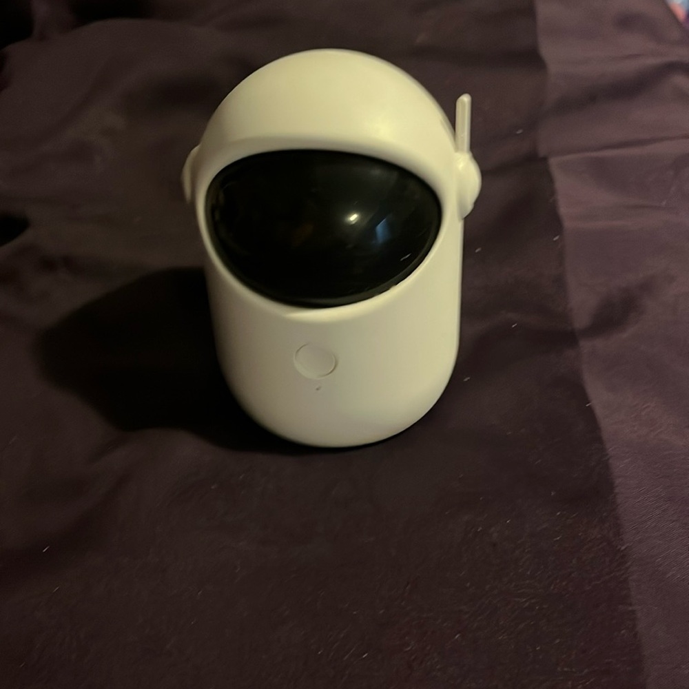 Cat laser light